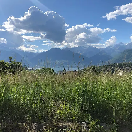 Casa Roxy コーリコ